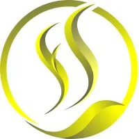 Salience foundation
