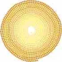 Southwest Institute of Montessori Studies