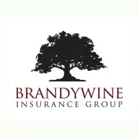 Brandywine Insurance Group