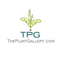 The Plant Gallery, Inc. The Plant Gallery, Inc.
