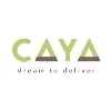 CAYA Constructs CAYA Constructs