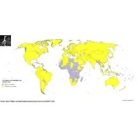 united nations security council earth