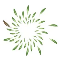 Melaleuca Australia
