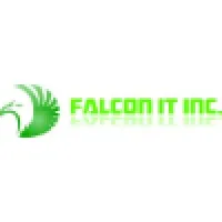 Falcon IT Inc Falcon IT Inc