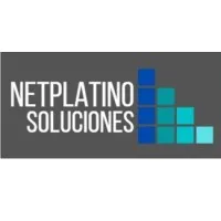 Netplatino SAS