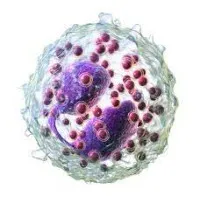 Eosinophilic & Rare Disease Cooperative