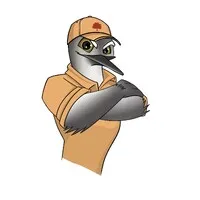 Pristine connections group LLC