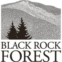 Black Rock Forest