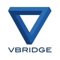 vBridge Tech Ltd
