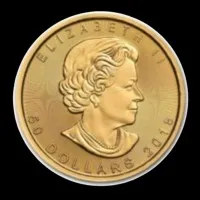 FIRST NATIONAL BULLION INC