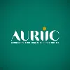 Auriic Services Auriic Services