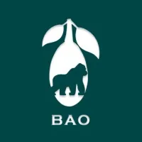 BAO PACKAGING GULF