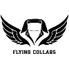Flying Collars Solutions Flying Collars Solutions
