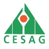 CESAG Business School CESAG Business School