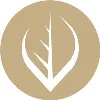 Black Leaf Design