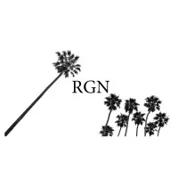 RGN Accountancy Group, Inc.