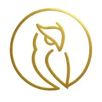 Brainsters Studio