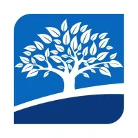 Bridgetree