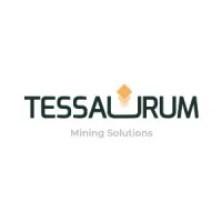 Tessaurum Mining Solutions