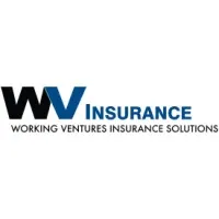 Working Ventures Insurance Solutions