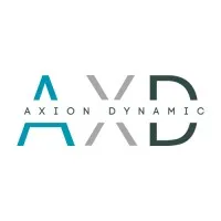 Axion Dynamic
