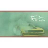 Z-Fast Racing Team