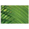 Organic Solutions LLC Organic Solutions LLC
