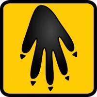 MousePaw Media