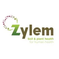 Zylem