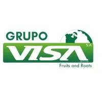Grupo VISA S.A.