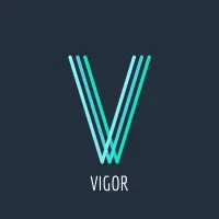 Vigor Fitness