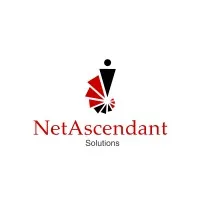 NetAscendant Solutions