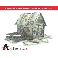 Advaloremtax.net