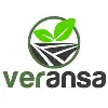 Veransa Group, Inc Veransa Group, Inc