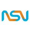 NSV Inc