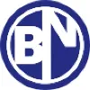 Blue Nickel Solutions