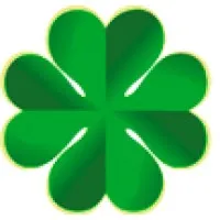 IBS (Web Studio & School of Digital Marketing)