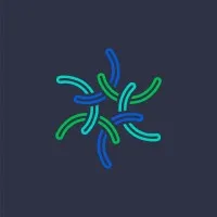 S3 Collective, Inc
