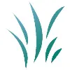 Nexecon Consulting Group Nexecon Consulting Group