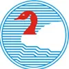New Swan Group New Swan Group