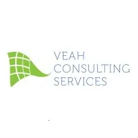 VEAH Consulting Services