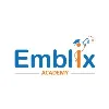 Emblix Academy : Top Digital Marketing Training in Hyderabad