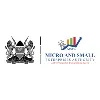 The Micro and Small Enterprises Authority (MSEA) The Micro and Small Enterprises Authority (MSEA)