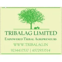 TRIBALAG LIMITED