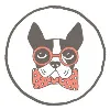 Bella Group, Inc.