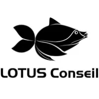 Lotus Conseil