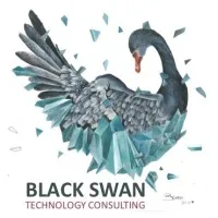 Black Swan Technology Consulting 