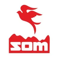 SOM Group of Companies email format