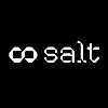 Salt AI Salt AI