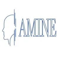 AMINE AMINE